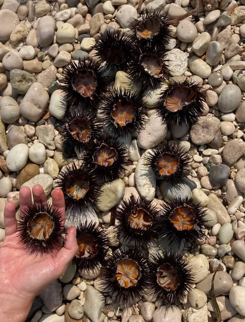 Απλα γεύματα και slow living